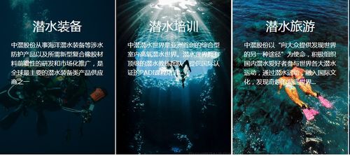 潛水公司加速趕頂，終須一別 從溫州幫現(xiàn)象看國內(nèi)旅游業(yè)務(wù)轉(zhuǎn)型